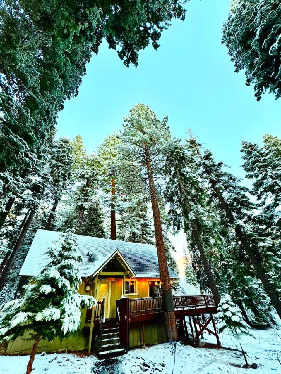 The Honey Bear Cabin Carnelian Bay Exterior photo