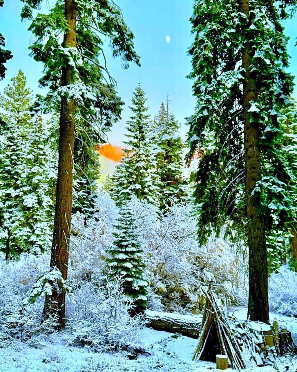 The Honey Bear Cabin Carnelian Bay Exterior photo