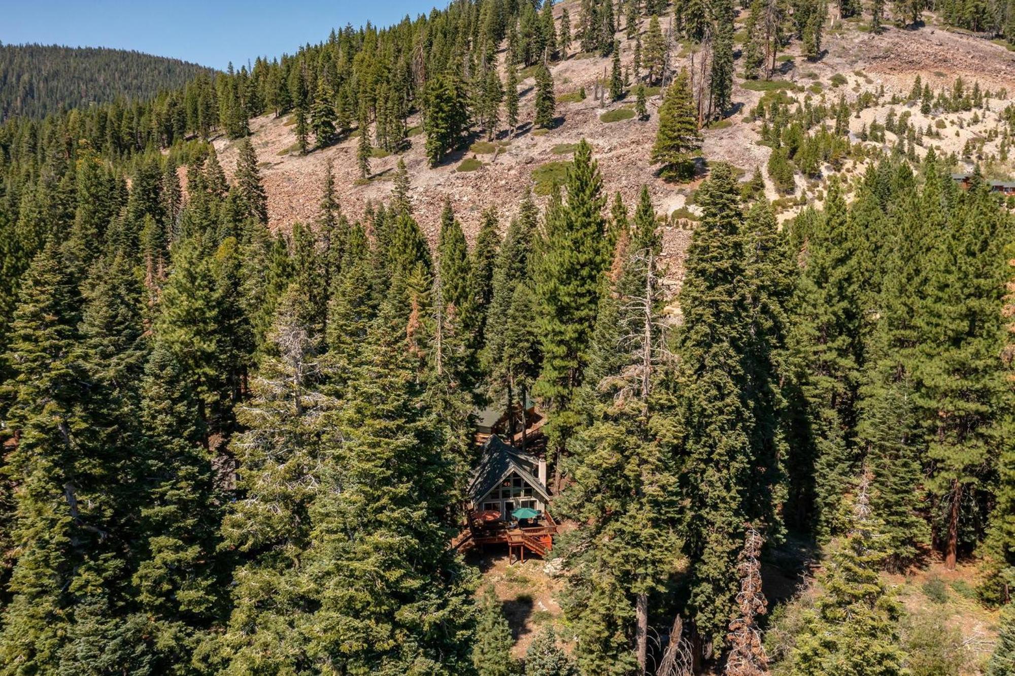The Honey Bear Cabin Carnelian Bay Exterior photo